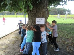 2025-09-18 Przytul się do drzewa